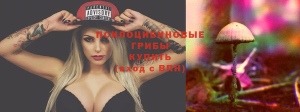 прущая мука Верхний Тагил